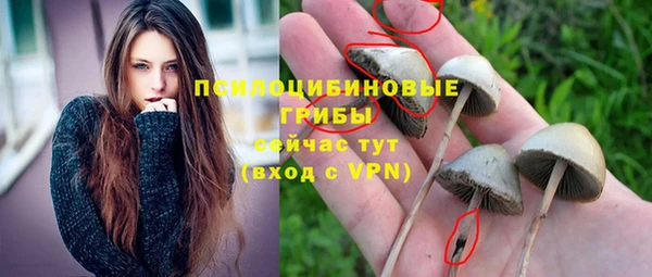 прущие крисы Бронницы