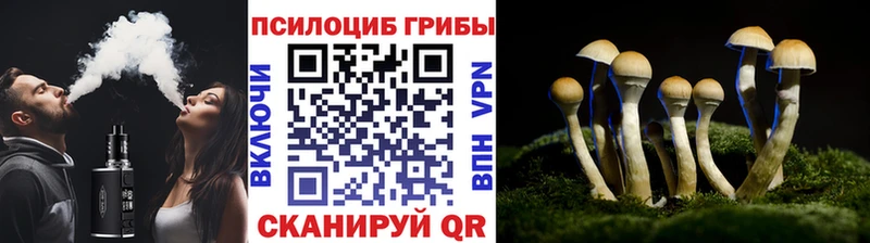 Галлюциногенные грибы Magic Shrooms  Выборг 