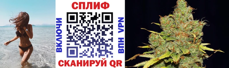 МАРИХУАНА планчик  Выборг 